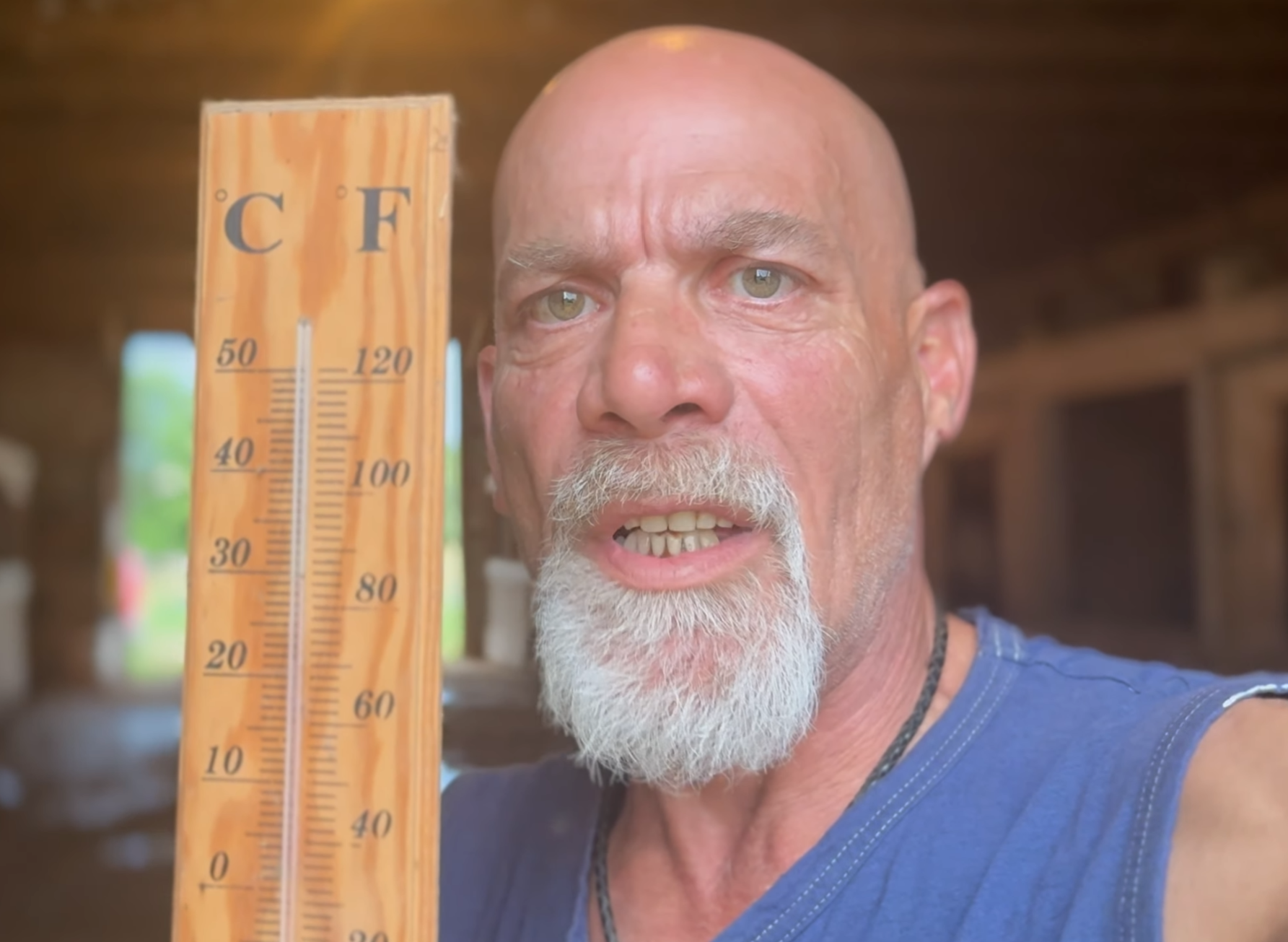How to Keep Chickens Cool in Summer Heat (Coop Fans, Shade & Tips)