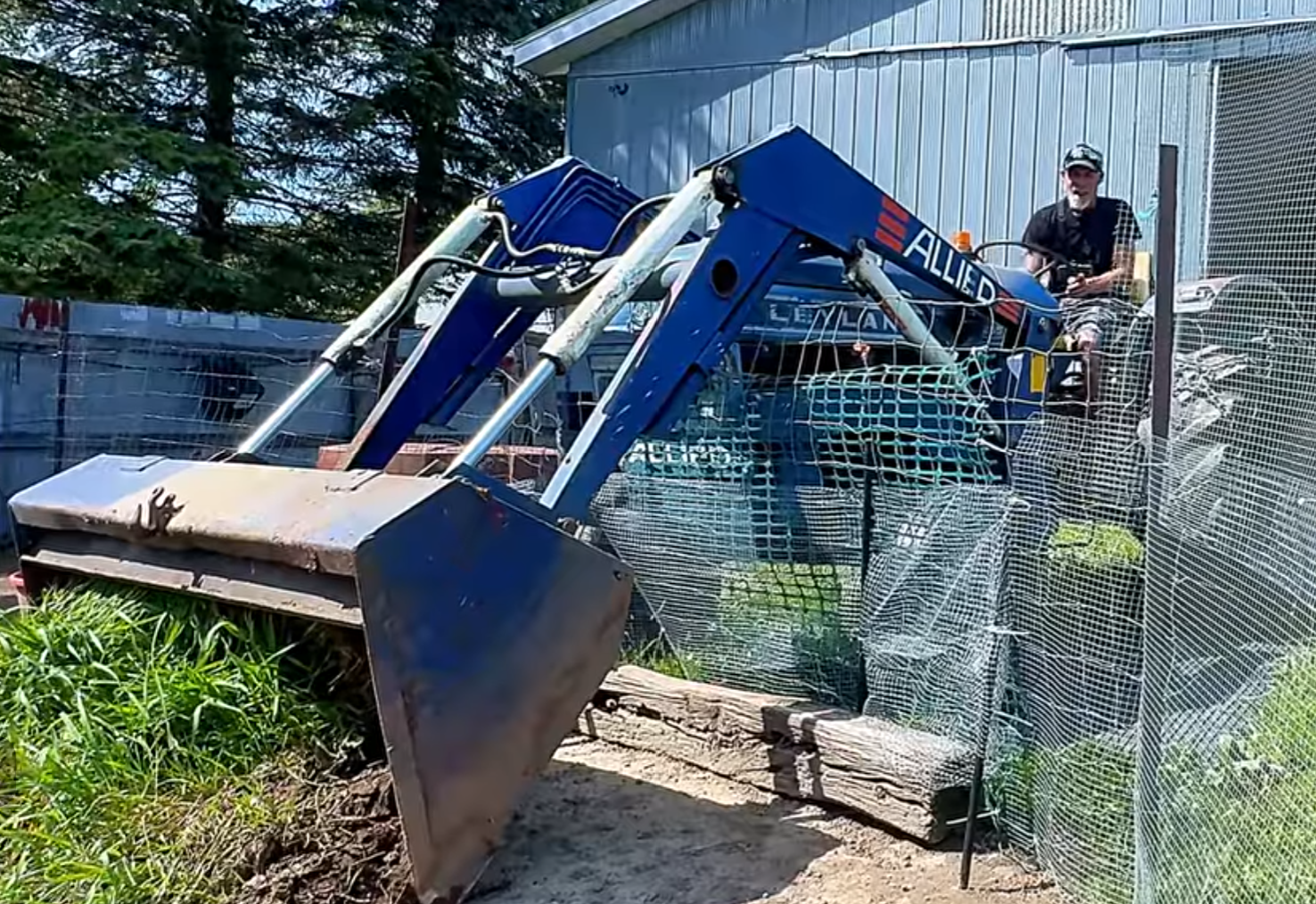 How to Get Grass Into a Chicken Run (Cheap Sod Trick They Love)
