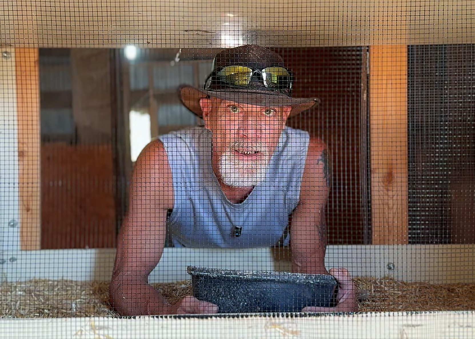 Setting Up a Broody Cage for Hatching Eggs with Backyard Chickens in Ontario